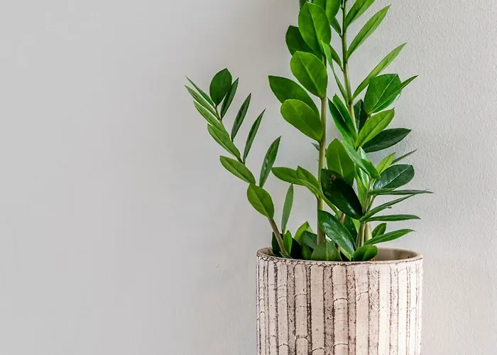 Modern Urban Retreat Apartamento